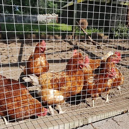 Semesterbostad Bartholomew's Loft At Johnsfort *