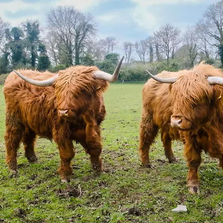 Дом отдыха Bartholomew's Loft At Johnsfort Raistin