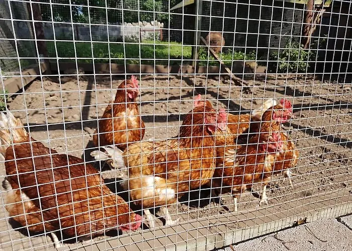 Casa vacanze Bartholomew's Loft At Johnsfort *