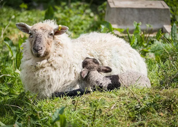 Bartholomew's Loft At Johnsfort Casa vacanze Raistin