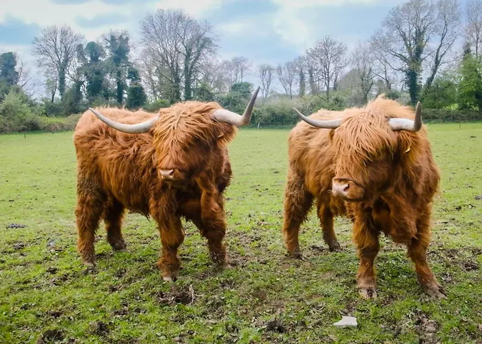 Casa vacanze Bartholomew's Loft At Johnsfort Raistin